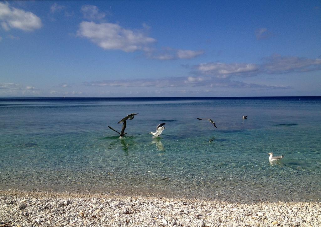 Appartamento Ponticello By Helloelba Portoferraio Bagian luar foto